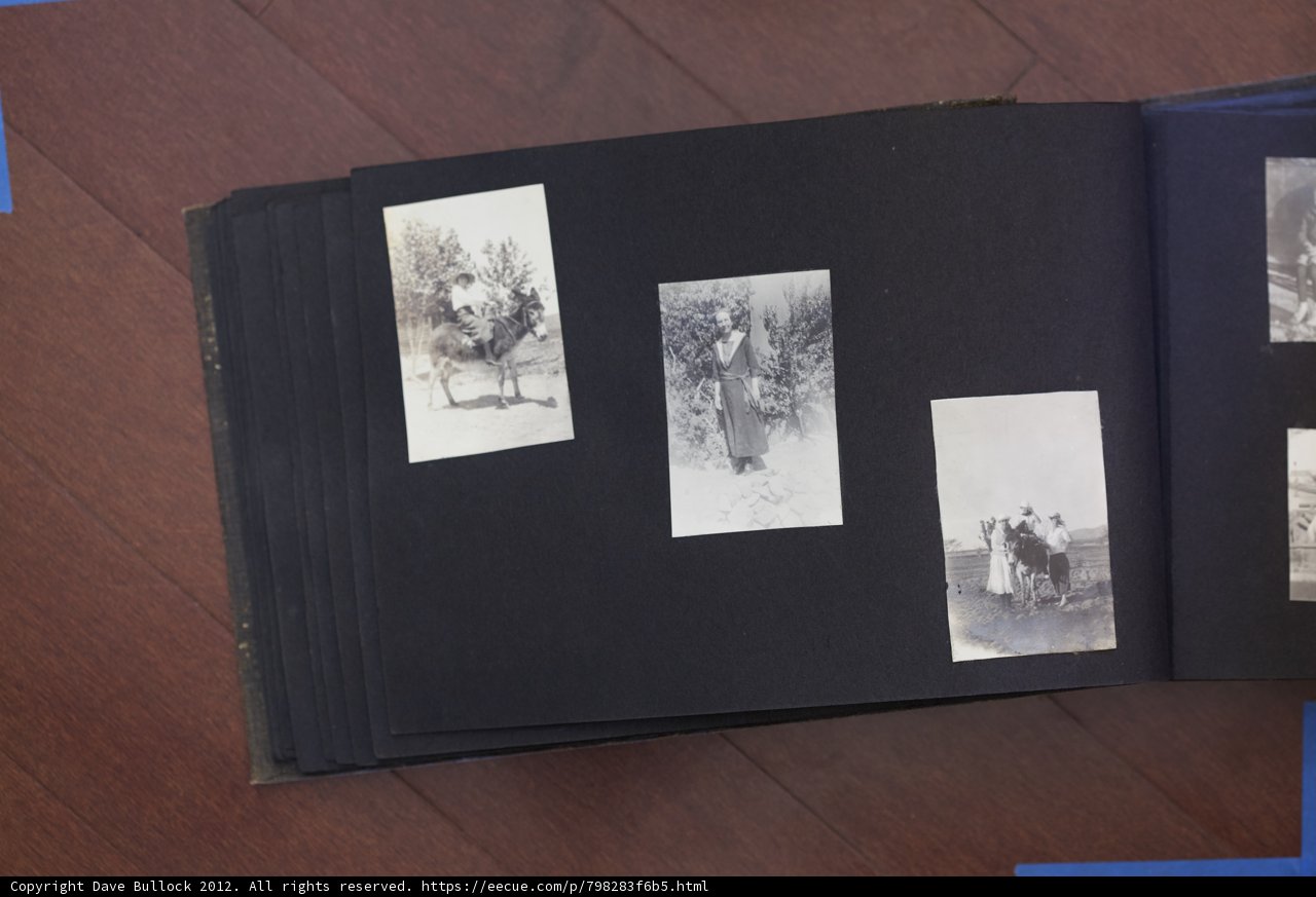 The Gilbreth Family Album
