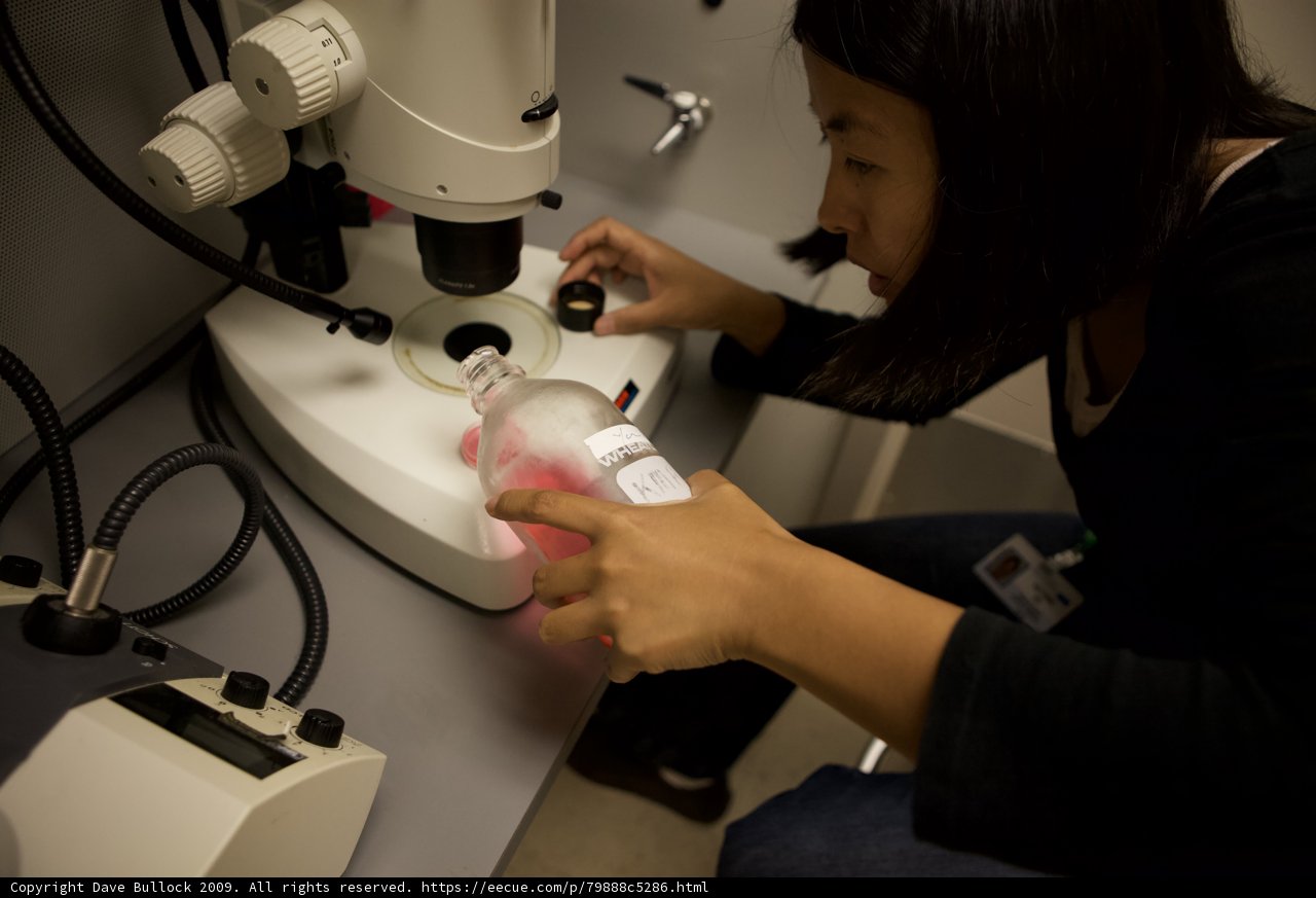 Examining Pink Liquid