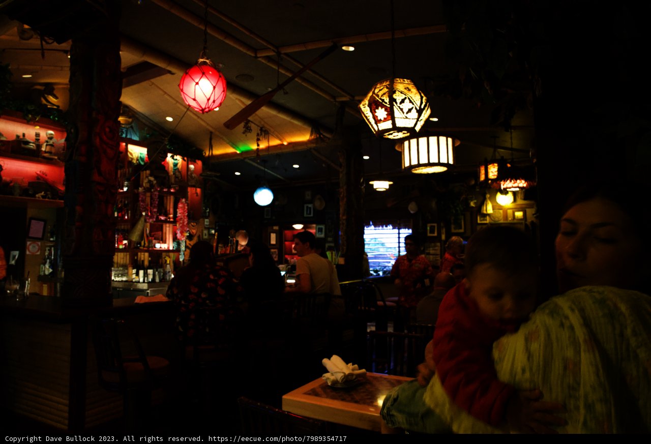 Magical Moments at Disneyland