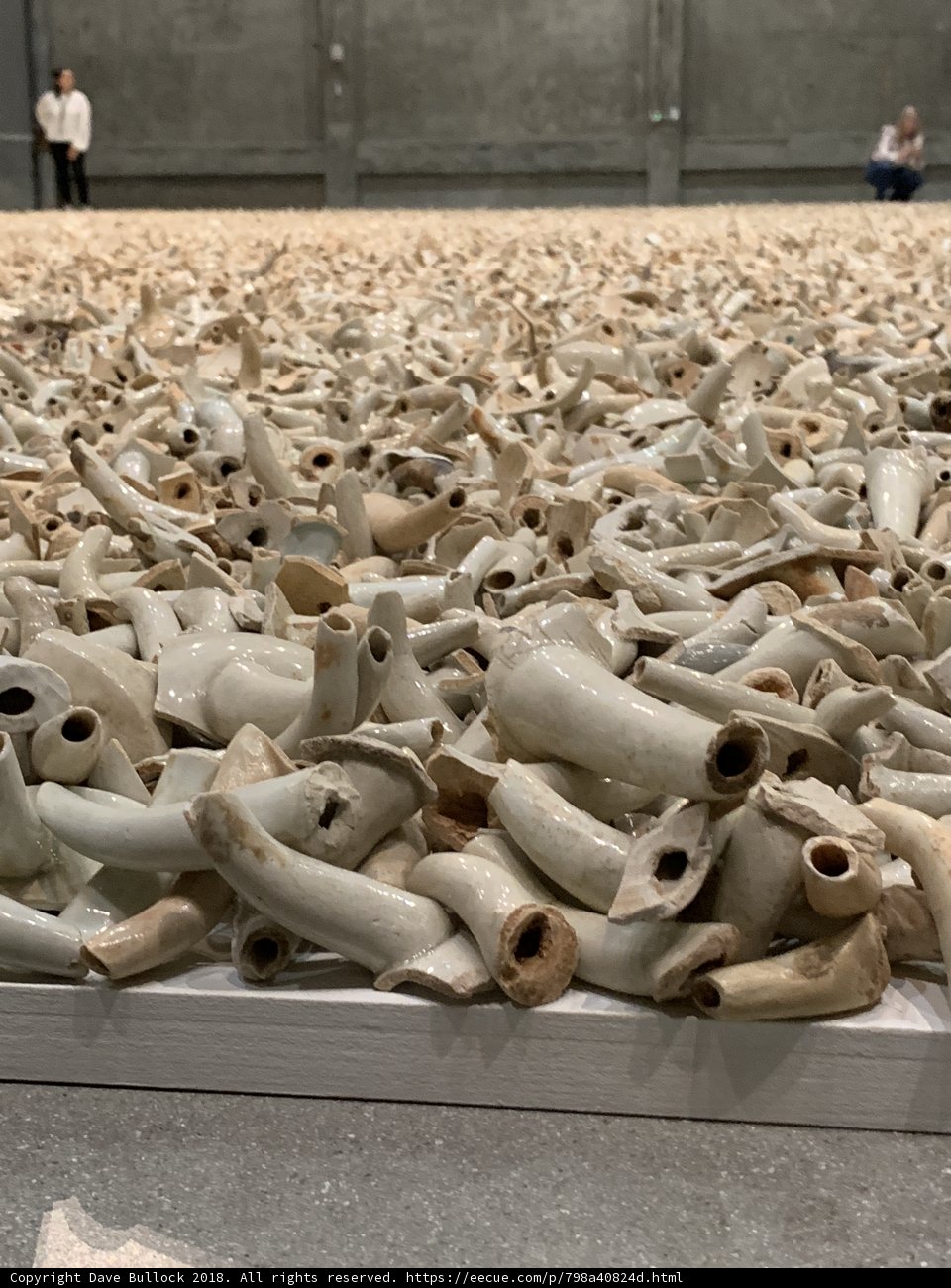 Remnants of Ivory Trade