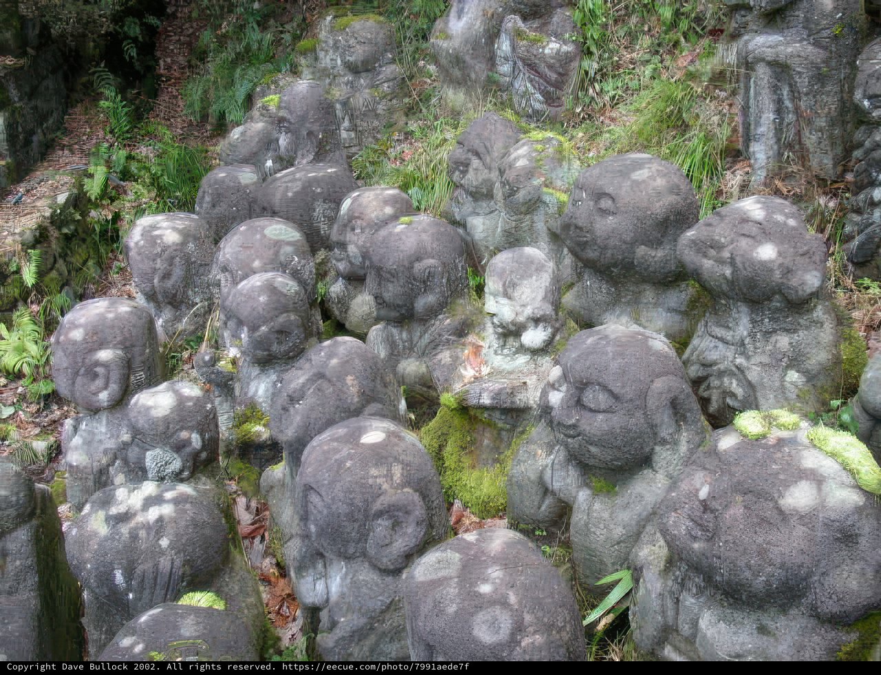 Mystical Stone Statues in a Forest