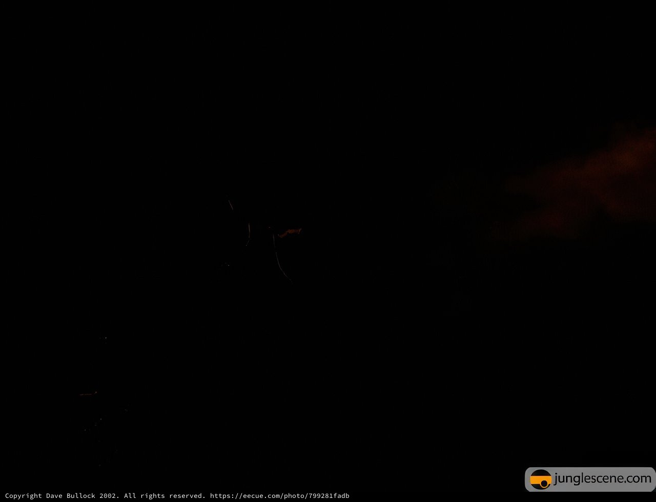 Midnight Flight