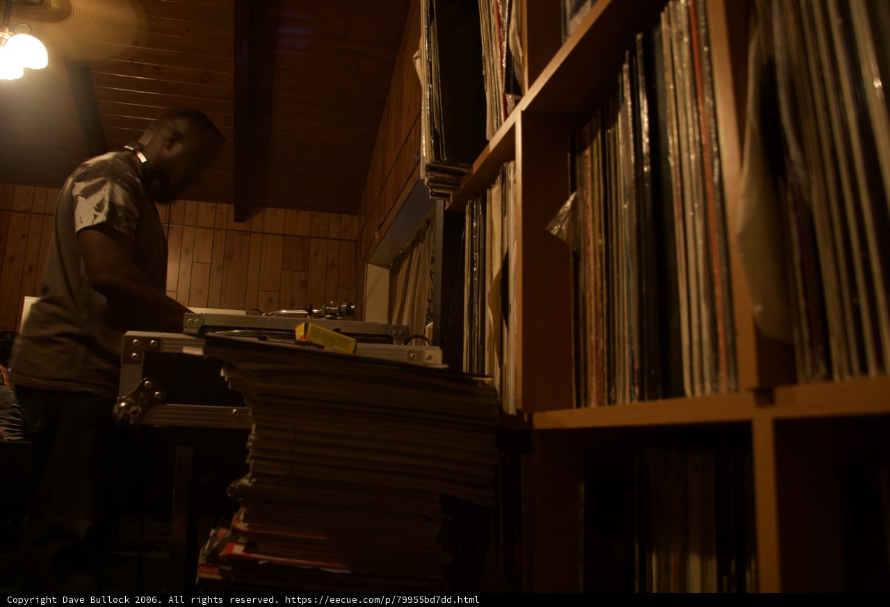Vinyl Enthusiast