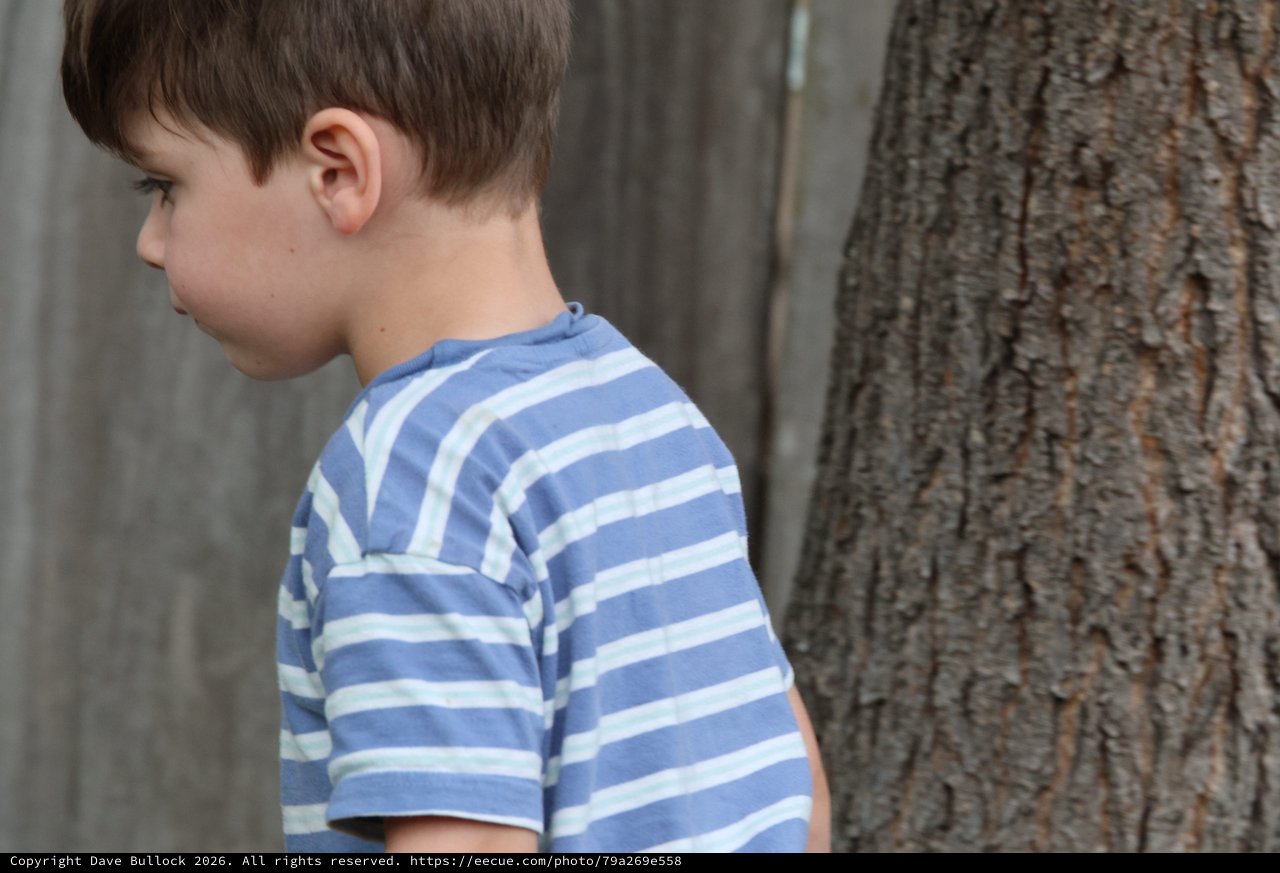 Young Boy in Striped Shirt Near Tree