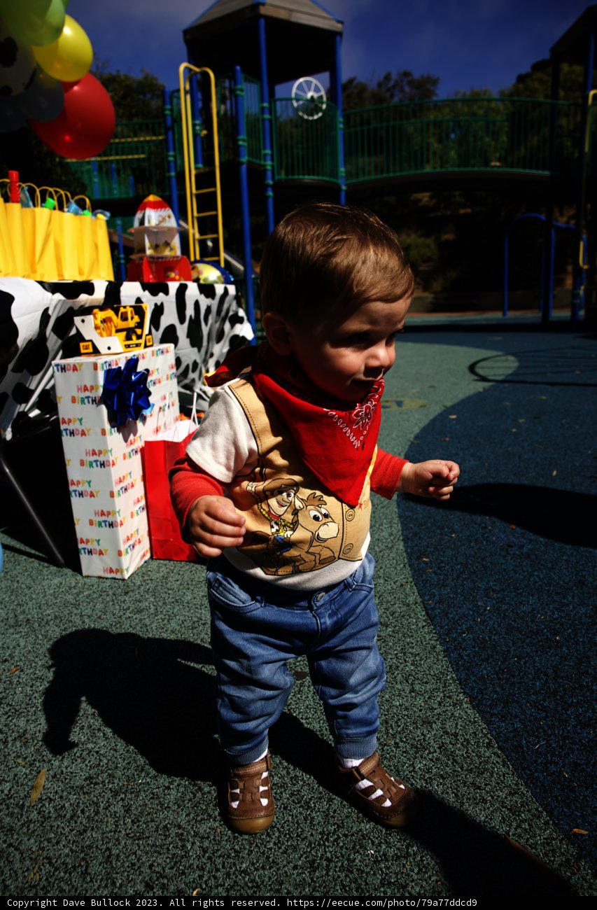 Playground Adventures on Wesley's First Birthday
