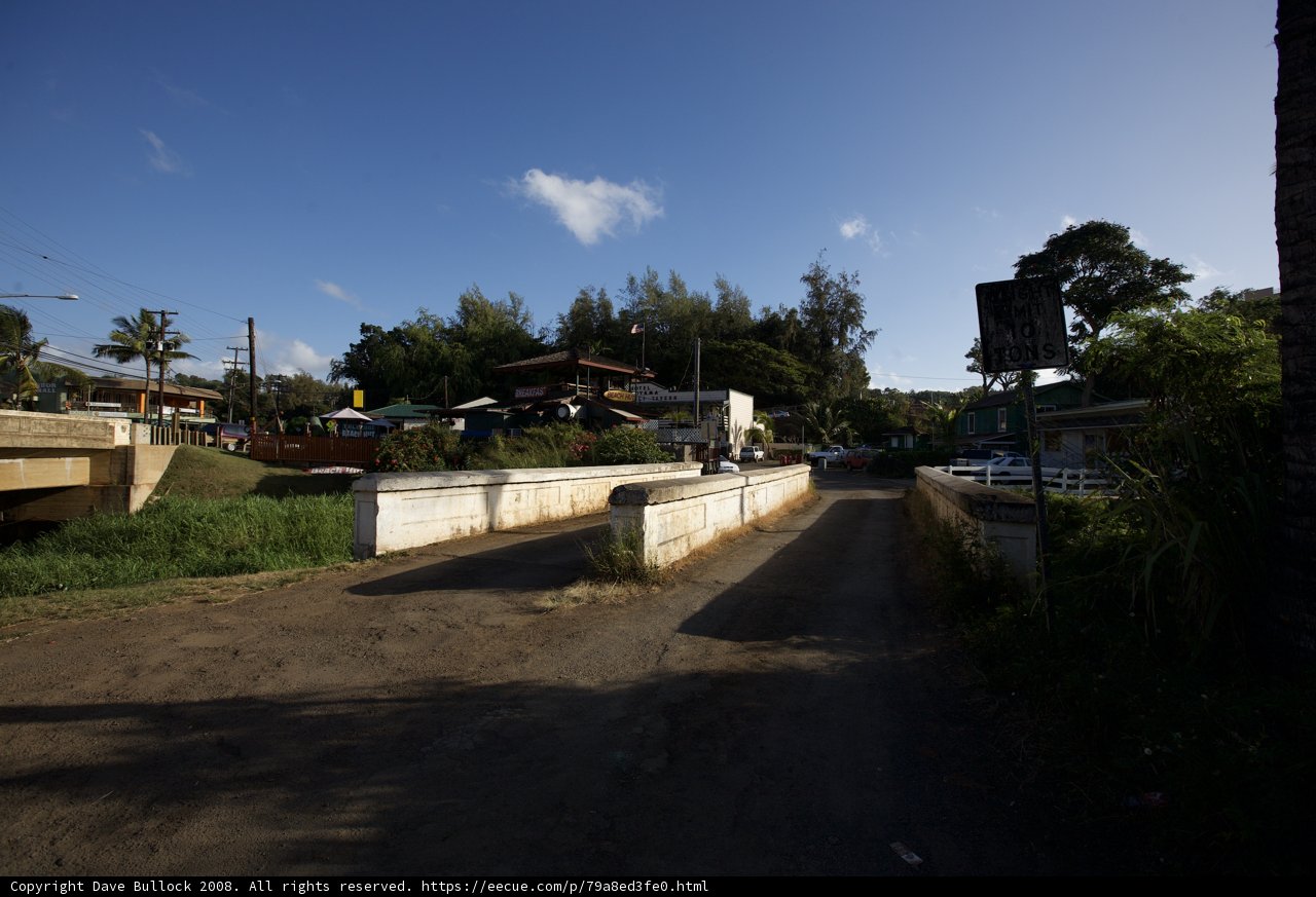Hawaiian Bridge with Palms
