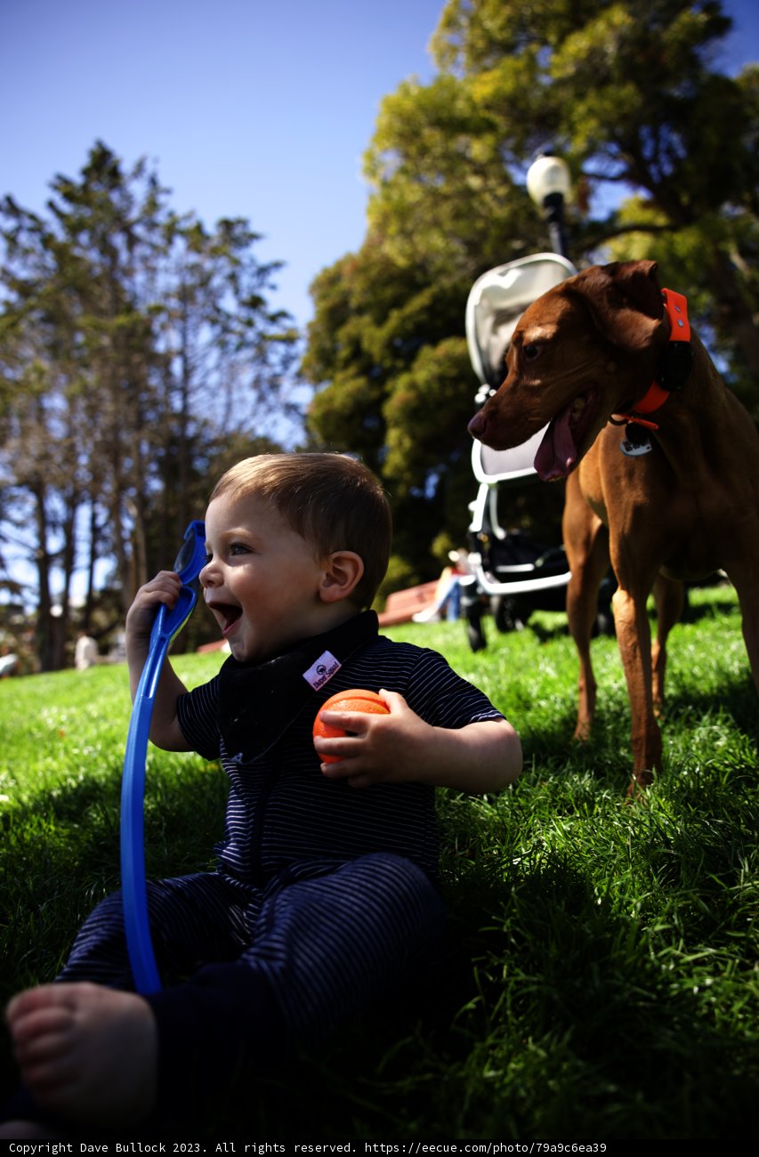 Playtime in Dolores Park