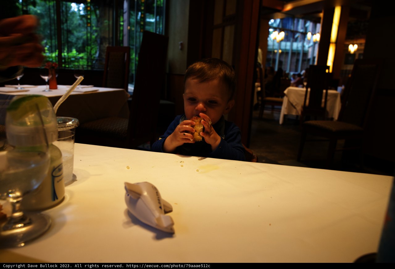 Magical Sandwich Break at Disneyland
