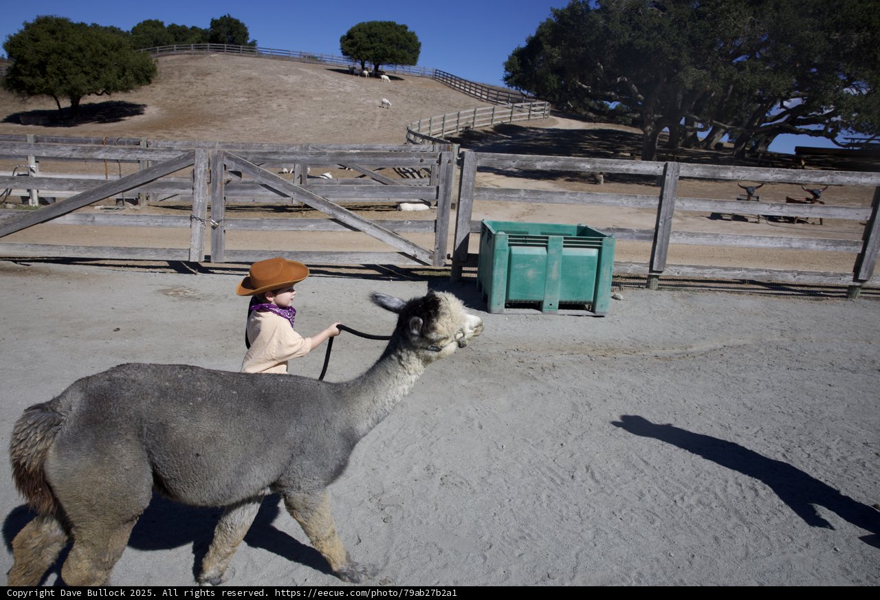 Little Wrangler at Carmel Valley Ranch