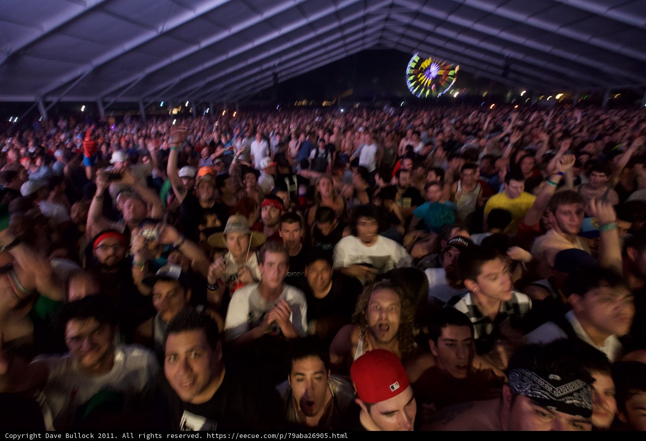 The Electric Crowd at Coachella 2011