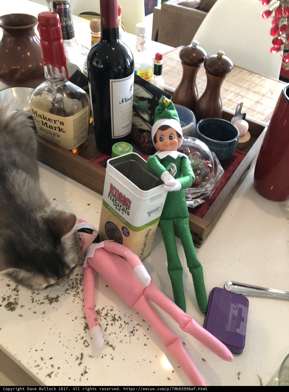 A Cat and an Elf Enjoying the Festivities