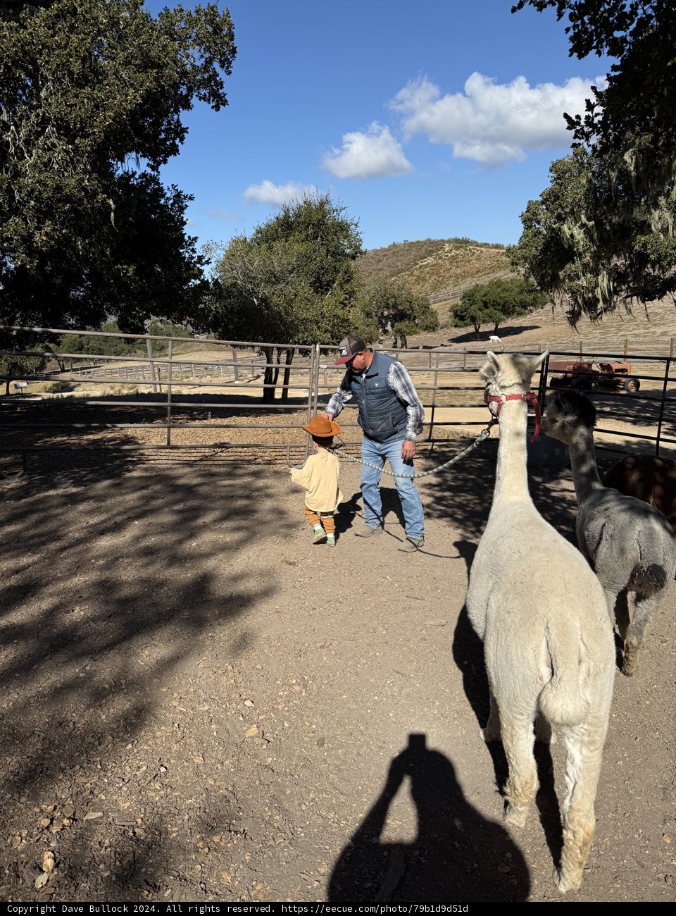 Pastoral Moments in Carmel