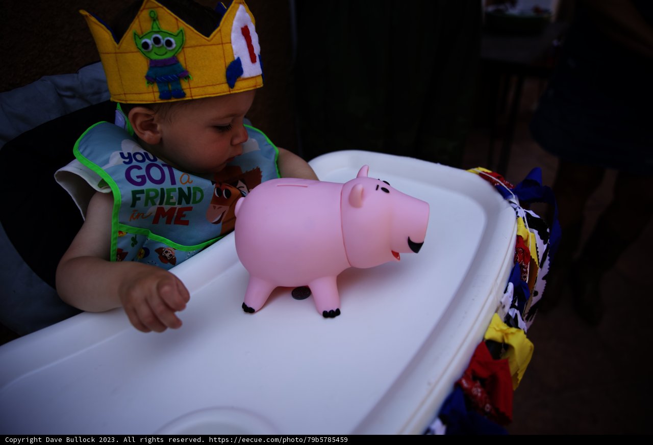 Wesley's First Birthday Bash - August 2023