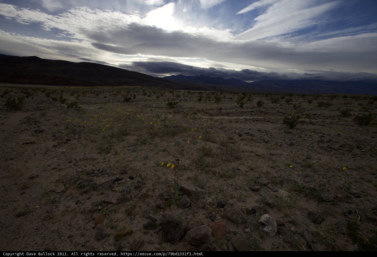 Majestic Desert Mountain
