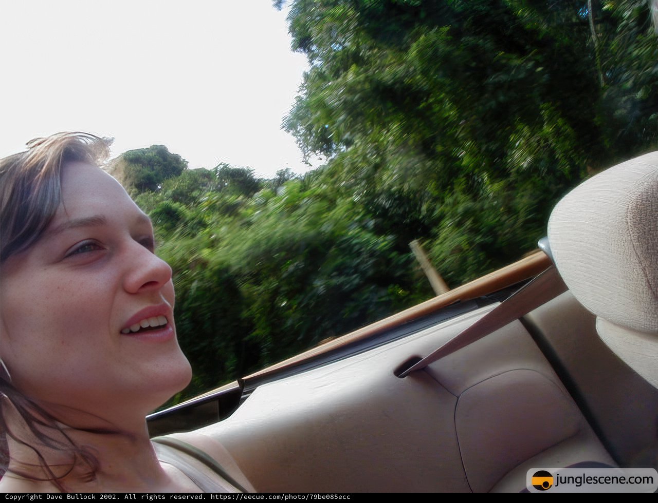 Cruising Through the Rainforest