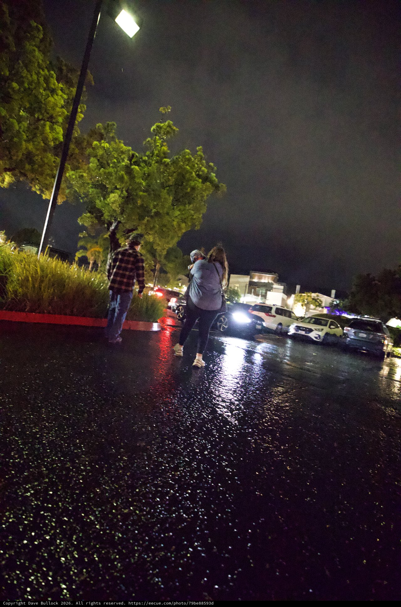 Rainy Night Street Scene in San Luis Obispo