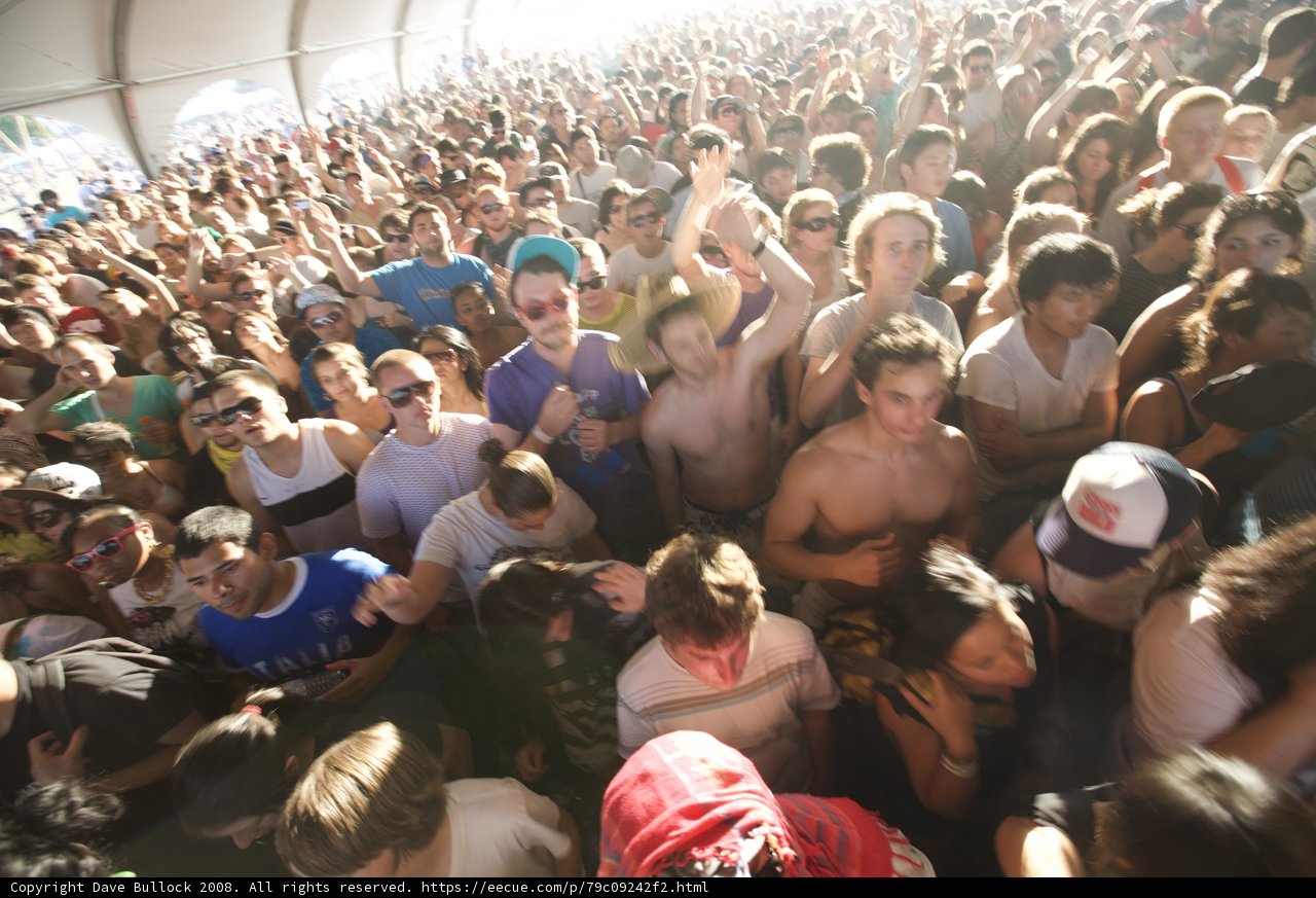 Party in the Crowd at Coachella 2008