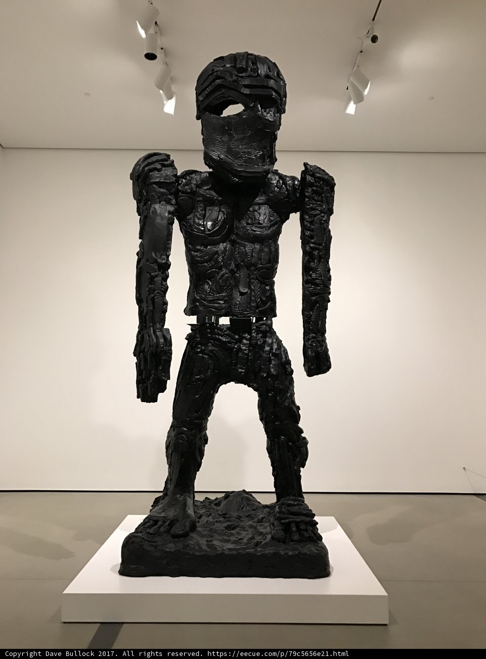 The Enigmatic Black Statue