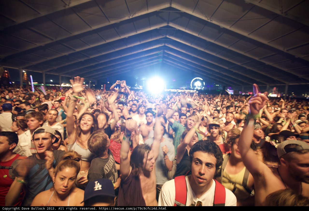 Coachella Concert Crowds