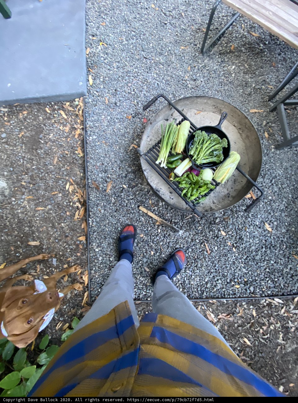 Harvest Time on the Patio