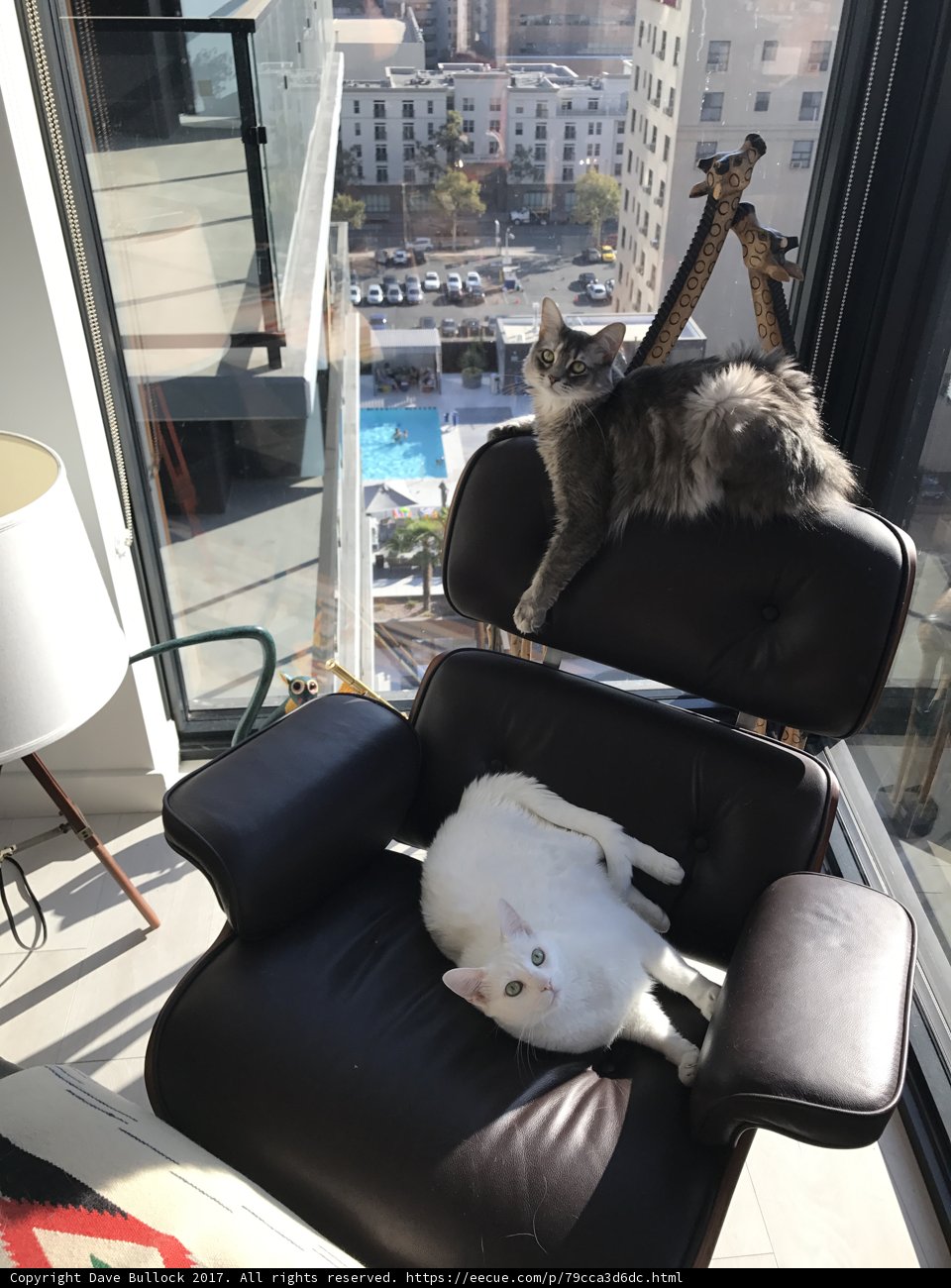 Double Trouble on the Armchair