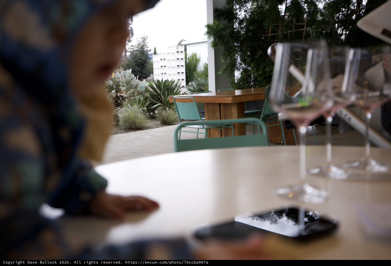 Intimate Dining Experience at Modern Restaurant Terrace