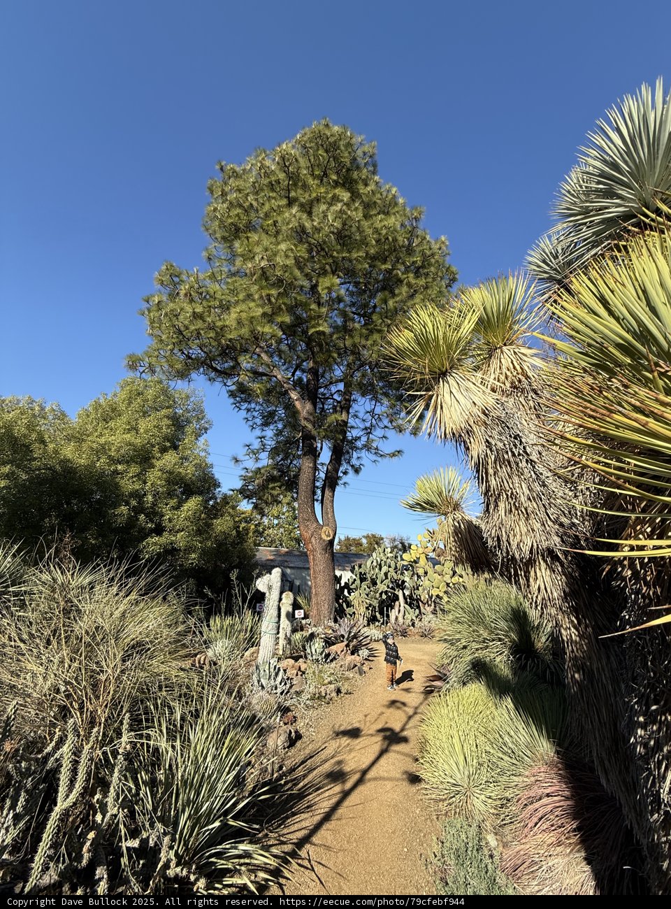 Exploring the Desert Oasis