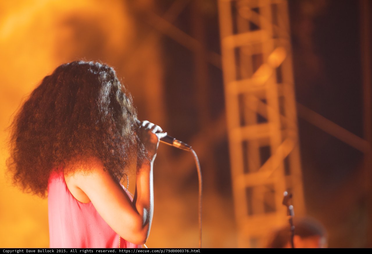 Solange Profile Hair Covering Face Microphone Close Orange