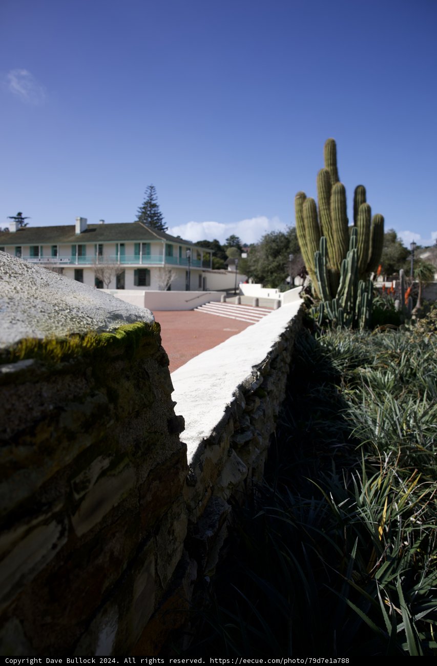 The Eclectic Harmony of Nature and Architecture