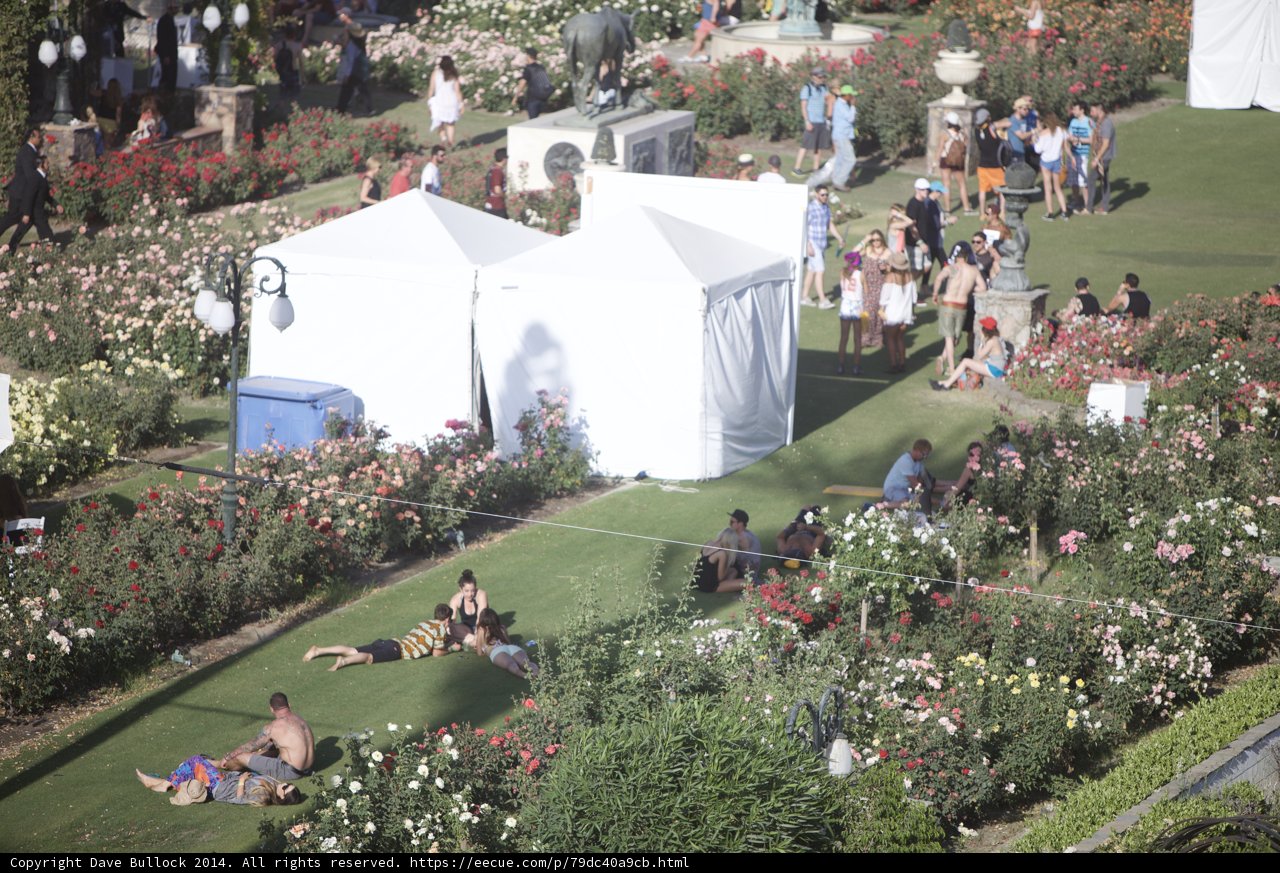 Garden Party Tent Gathering