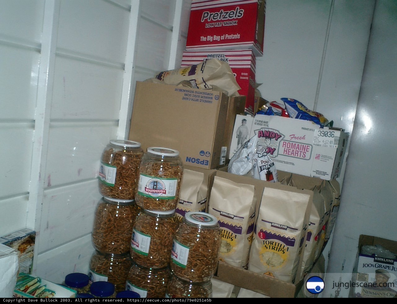 Fully Stocked Fridge for Campers