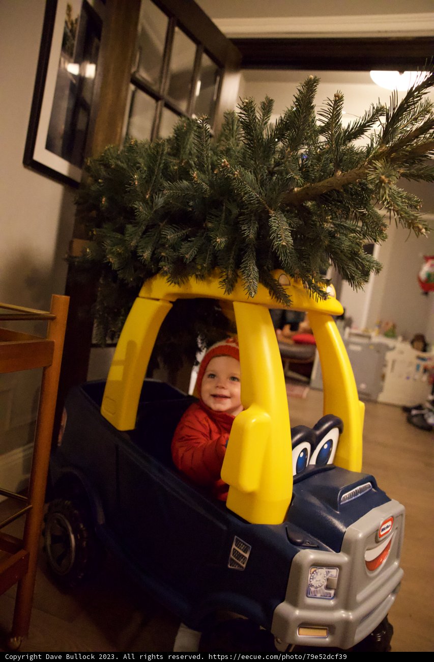 Wesley's First Drive-Thru Christmas
