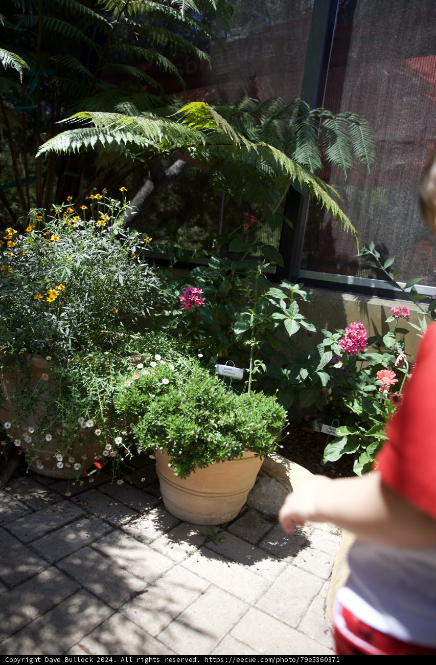Wesley's Garden Adventure