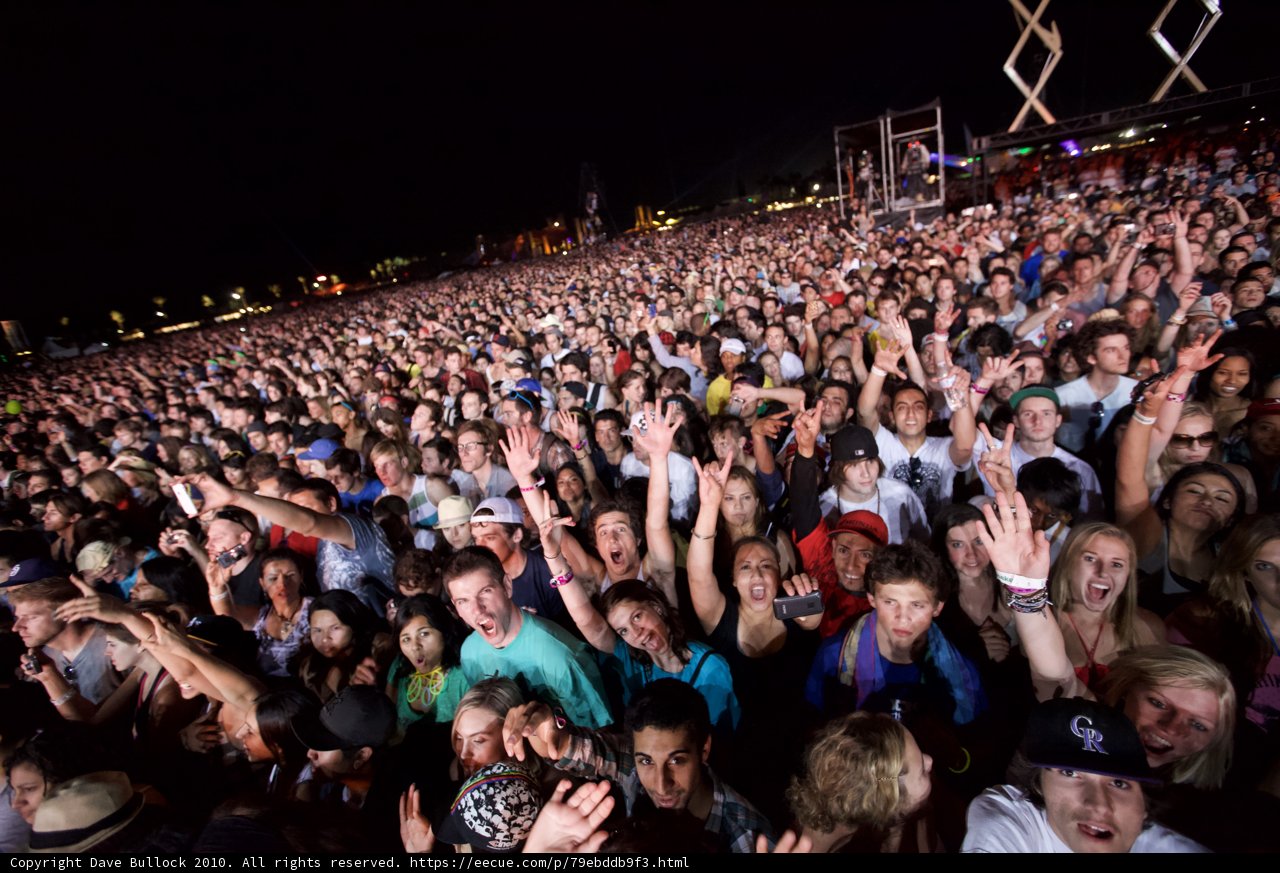 Euphoric Crowd at Coachella