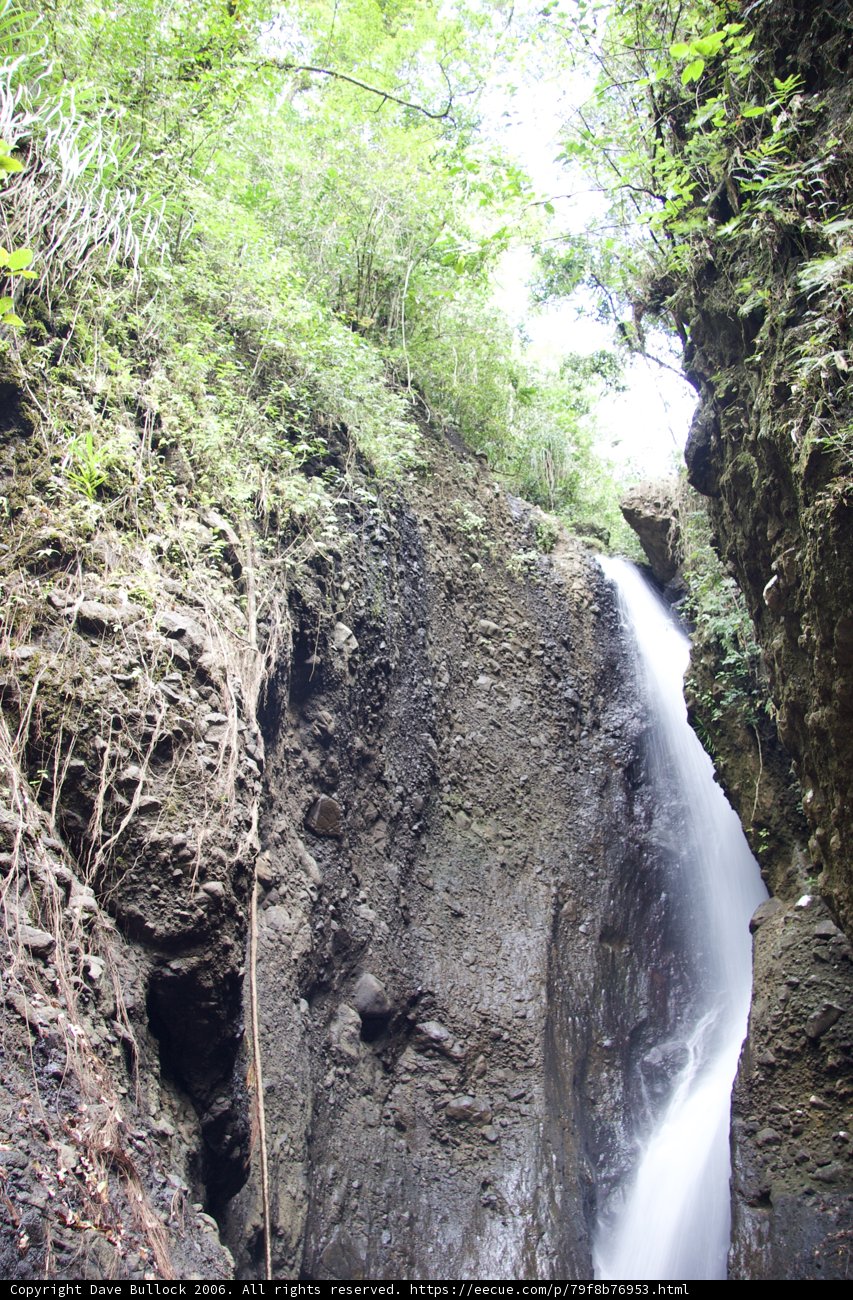 Majestic Waterfall in the Heart of the Forest