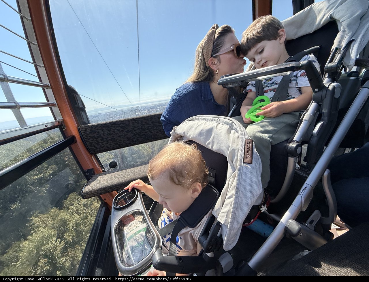 Family Adventure Above the Treetops