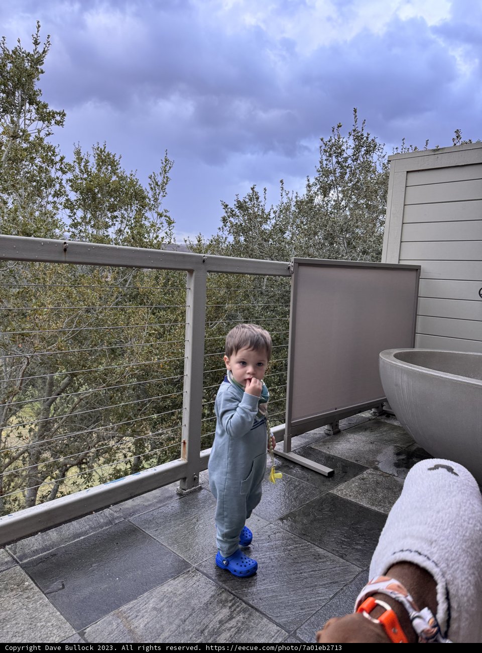 Cloudy Carmel Days with Little Wesley