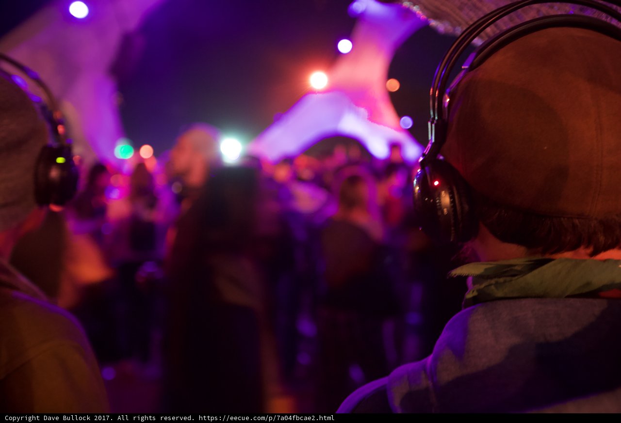 Festival Vibes