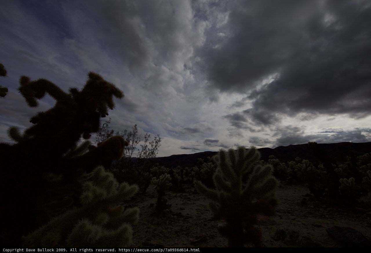 Stormy Desert Skies
