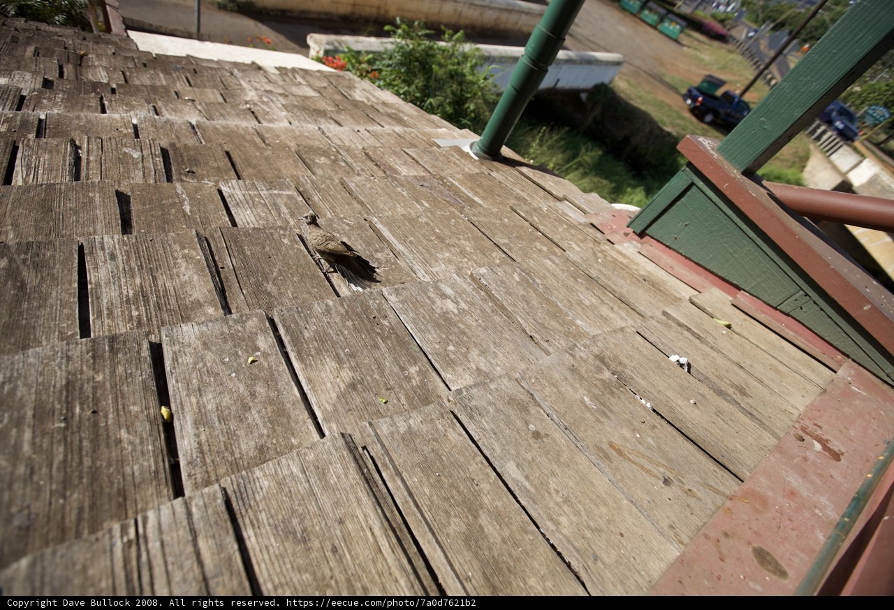 Bird's Eye View on a Wooden Roof