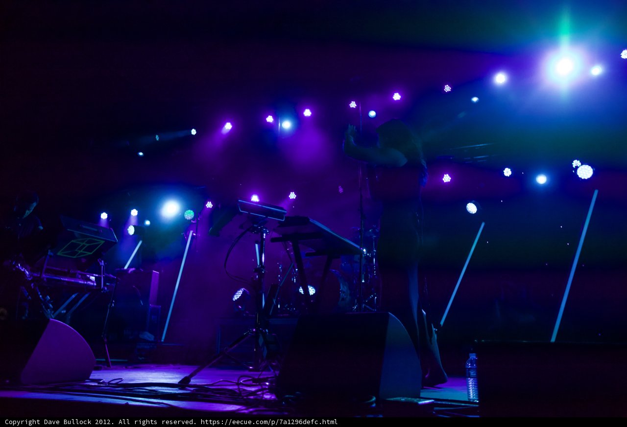 Purple Haze Performance