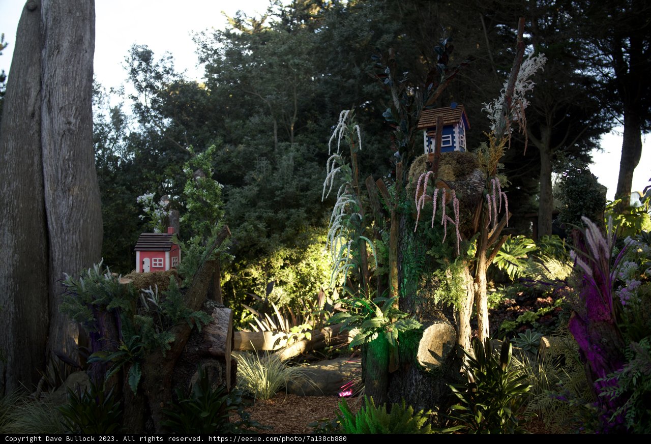 Nature's Homestead