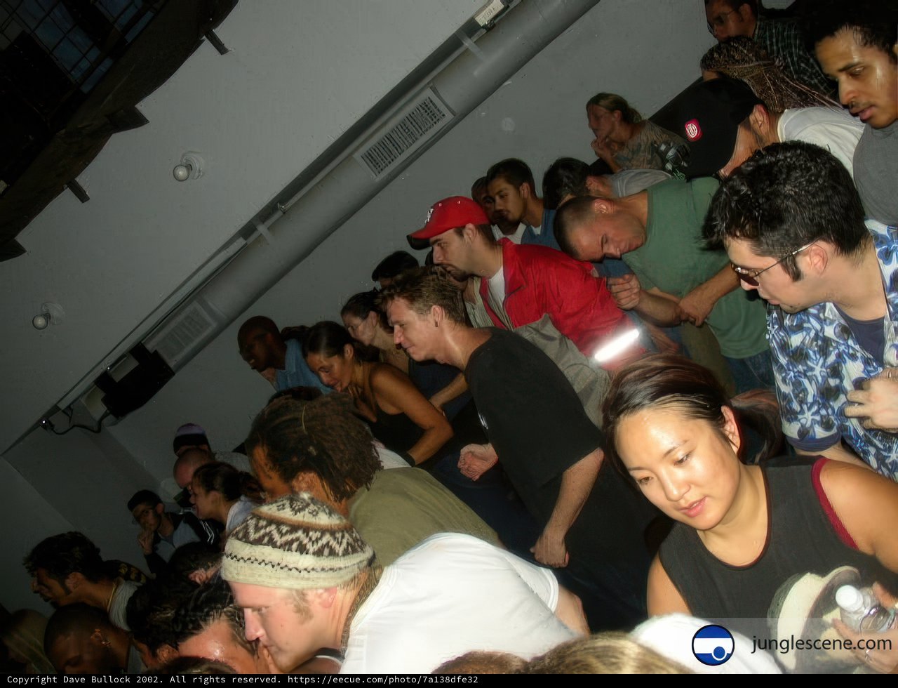 Nightclub Vibes