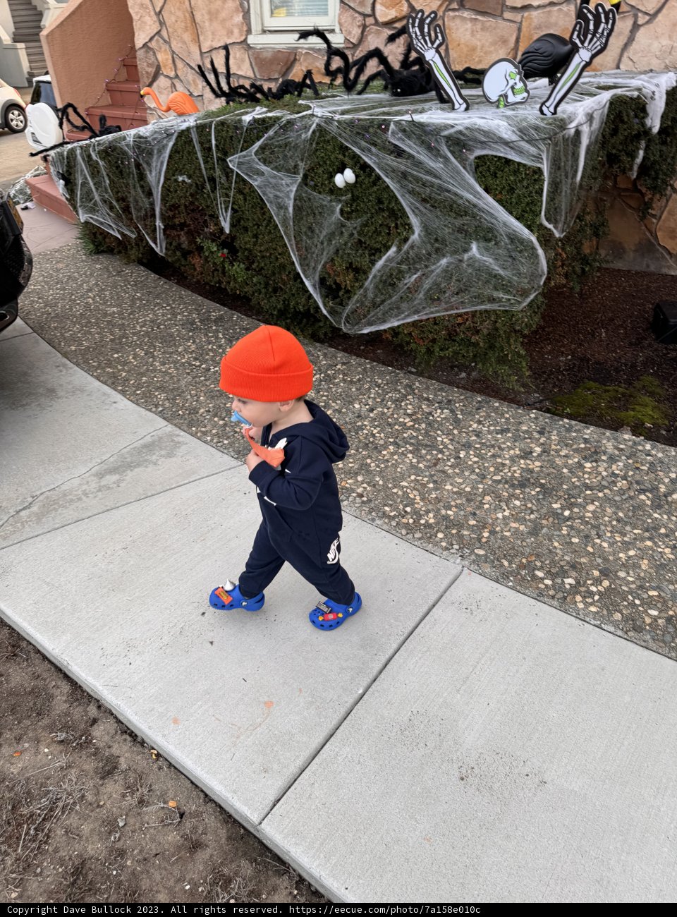 Wesley's Web-Walking Adventure