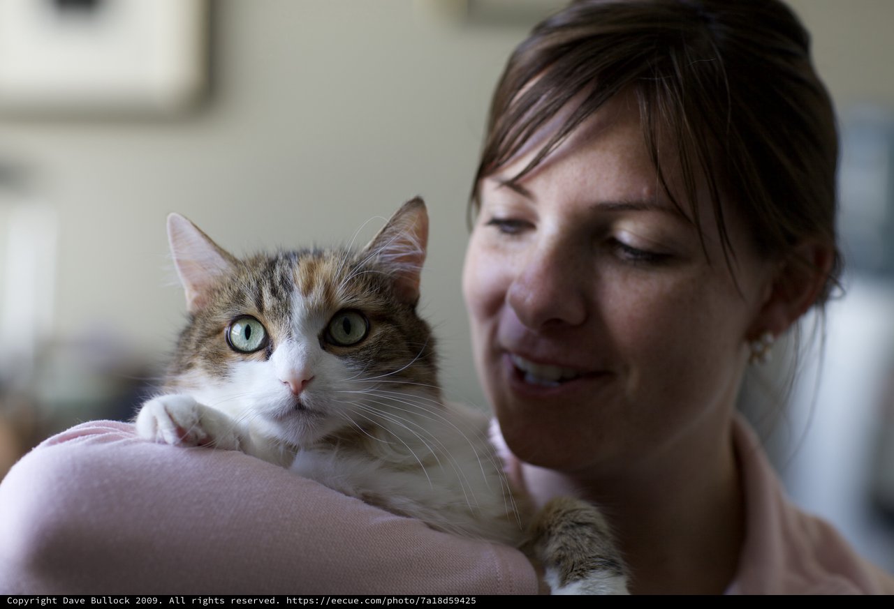 Woman Tenderly Holds Her Green-Eyed Tabby Cat
