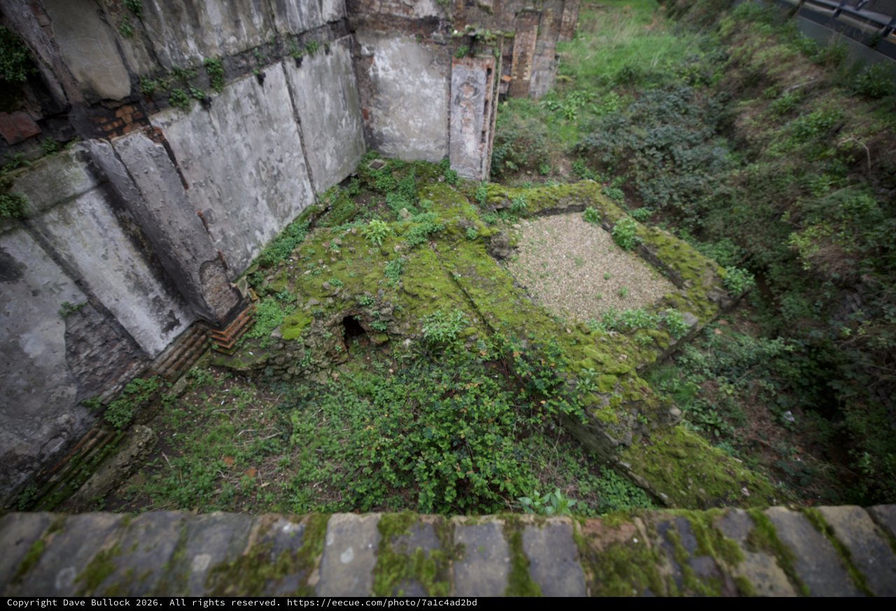 Abandoned Fortification Overtaken by Nature from Above