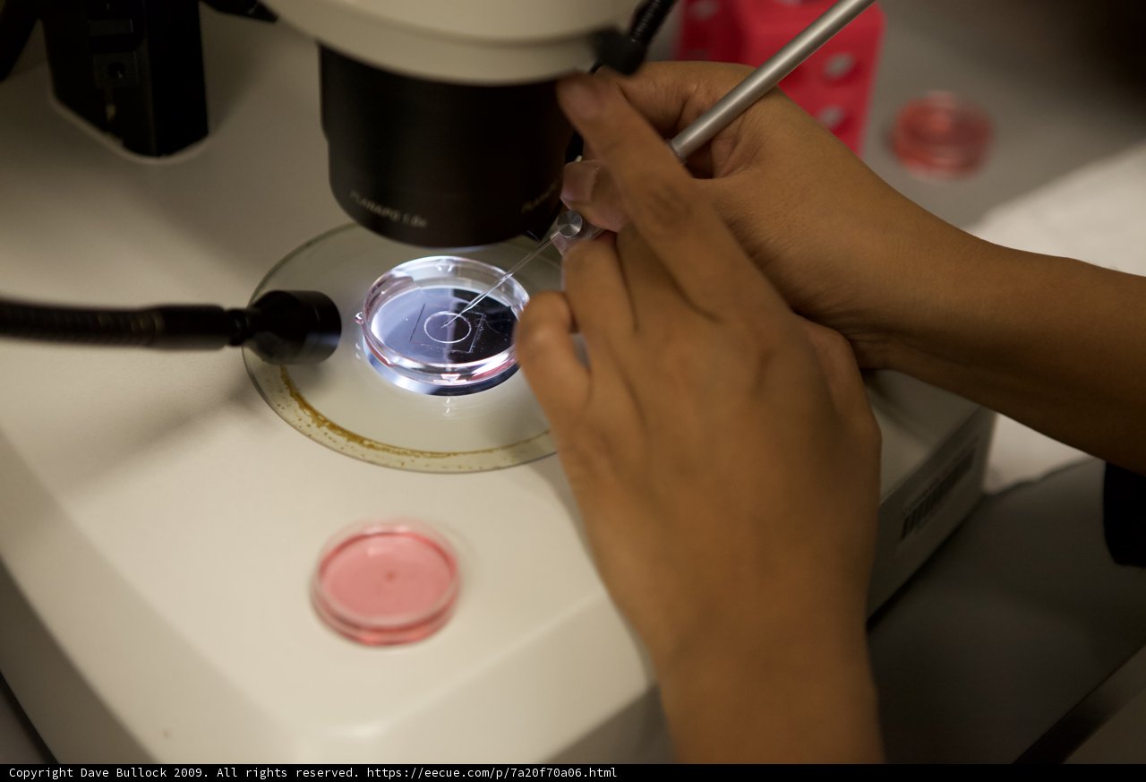 Microscopic Investigation