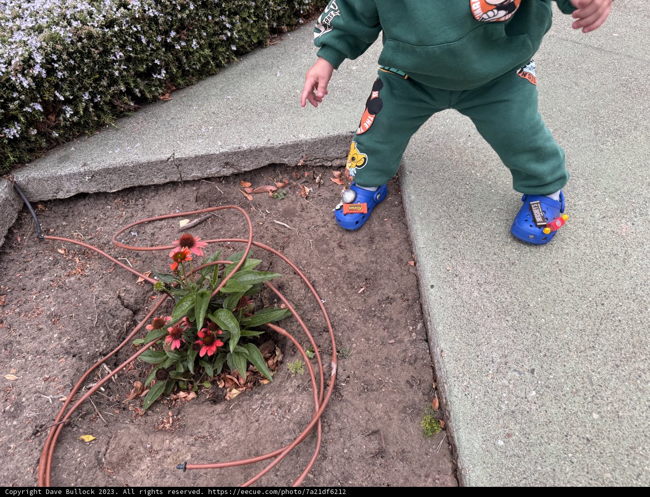 Autumn Adventures: The Young Gardener