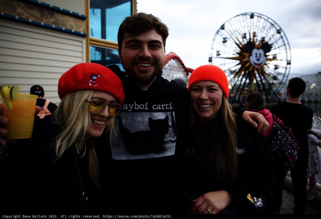 Ferris Wheel Fun with Friends