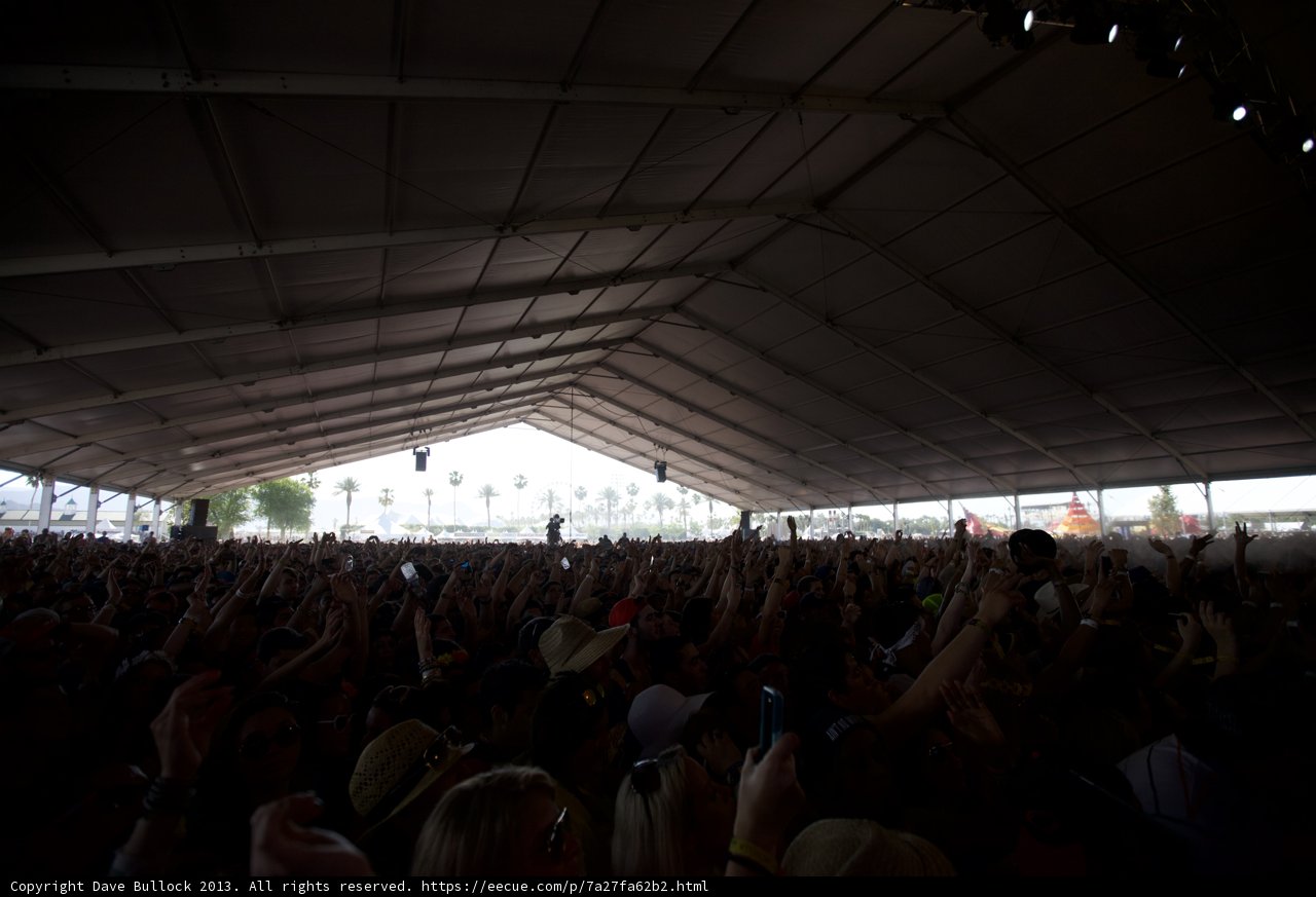 Concert Crowd in Hat and Glasses